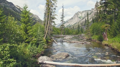 This serene view is one of many that are easily accessible to the inhabitants of the Bitterroot. Trees fall every season to create abstract yet concrete bridges over mountain rivers – much like the image shown here. 